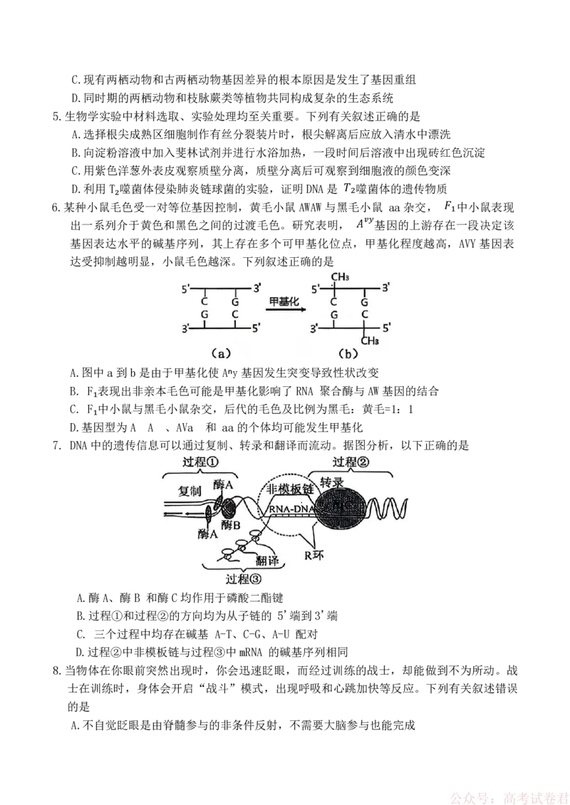 山西省大同市2026届高三年级第一次模拟考试质量监测生物学试卷（含答案）_2026届山西大同高三第一次模拟考试质量监测