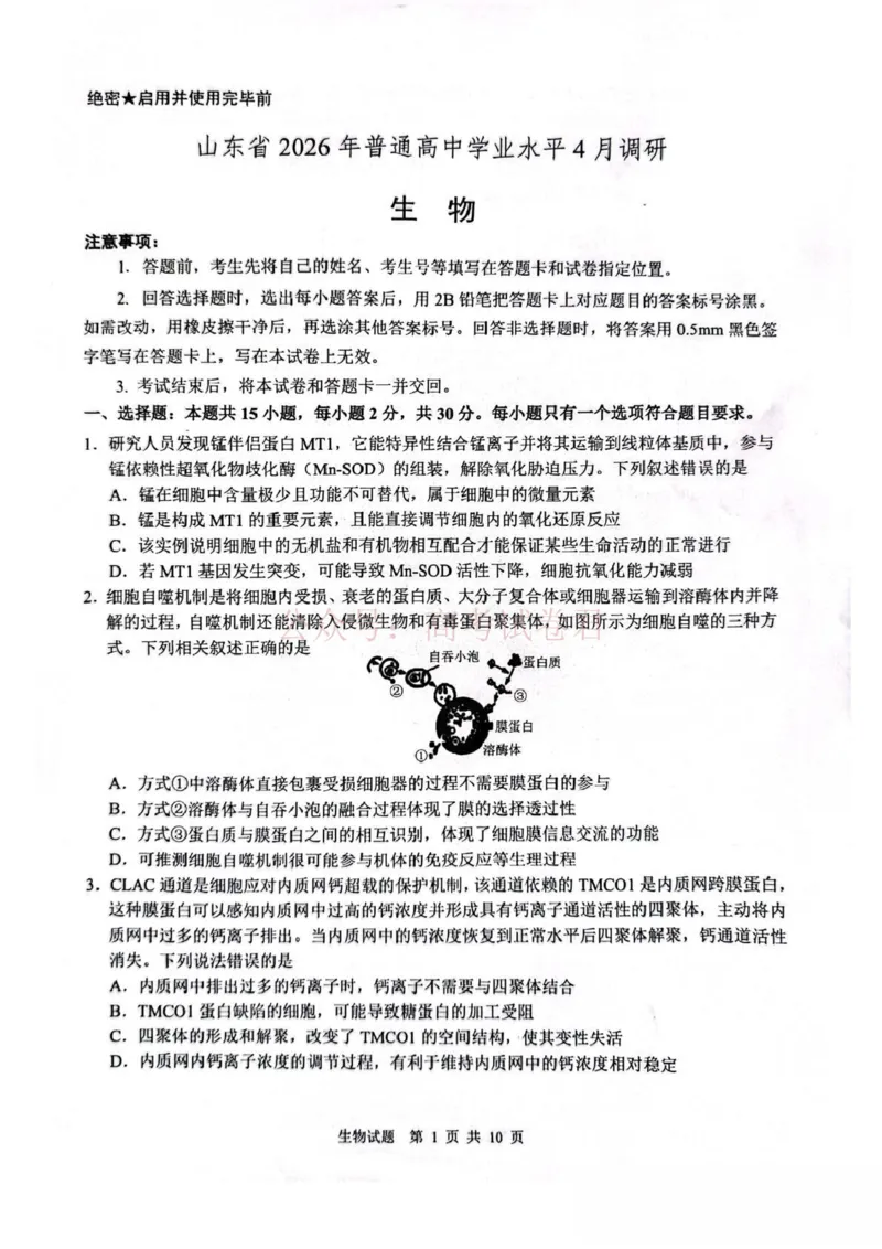 山东省2026届普通高中学业水平4月调研生物试卷（含答案）_副本_2026年山东省通高中学业水平4月调研_05生物_山东省通高中学业水平4月调研
