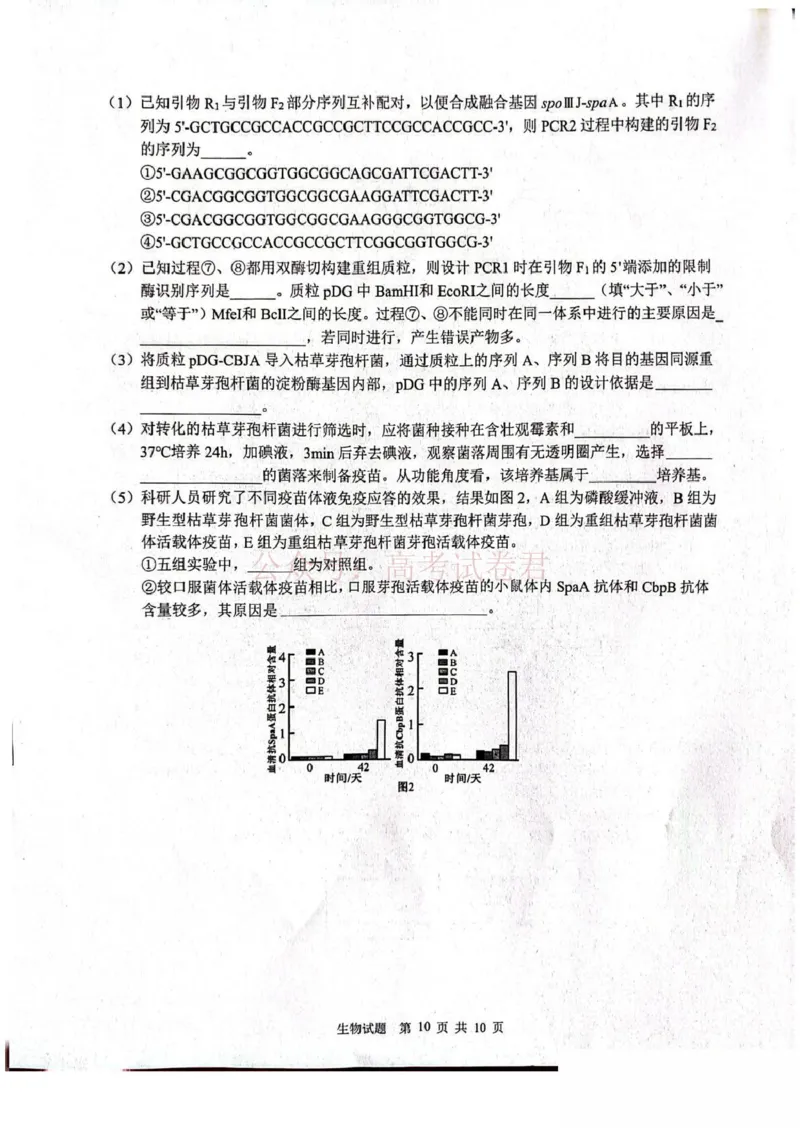 山东省2026届普通高中学业水平4月调研生物试卷（含答案）_副本_2026年山东省通高中学业水平4月调研_05生物_山东省通高中学业水平4月调研