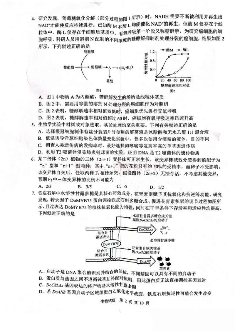 山东省2026届普通高中学业水平4月调研生物试卷（含答案）_副本_2026年山东省通高中学业水平4月调研_05生物_山东省通高中学业水平4月调研