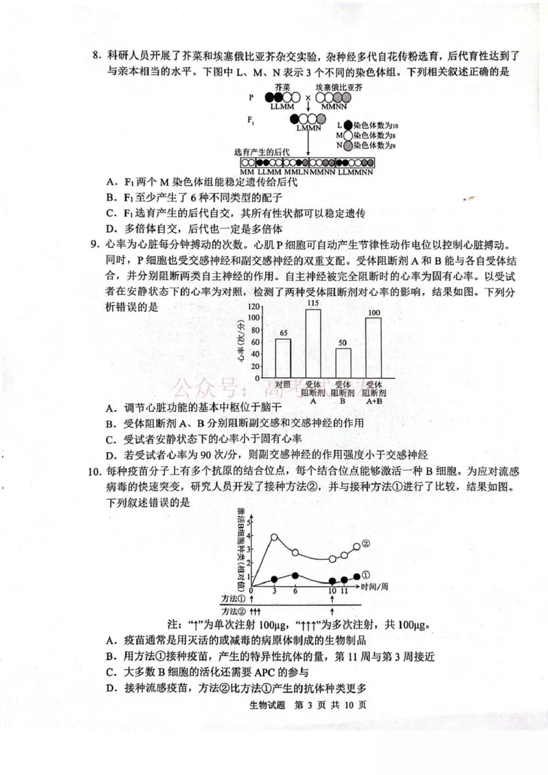 山东省2026届普通高中学业水平4月调研生物试卷（含答案）_副本_2026年山东省通高中学业水平4月调研_05生物_山东省通高中学业水平4月调研