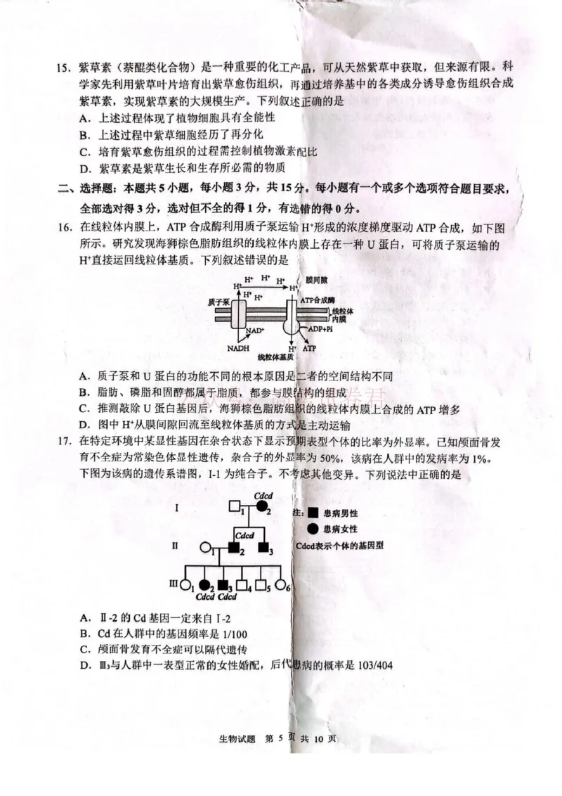 山东省2026届普通高中学业水平4月调研生物试卷（含答案）_副本_2026年山东省通高中学业水平4月调研_05生物_山东省通高中学业水平4月调研