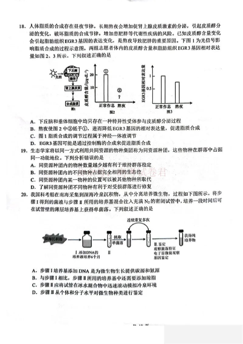 山东省2026届普通高中学业水平4月调研生物试卷（含答案）_副本_2026年山东省通高中学业水平4月调研_05生物_山东省通高中学业水平4月调研