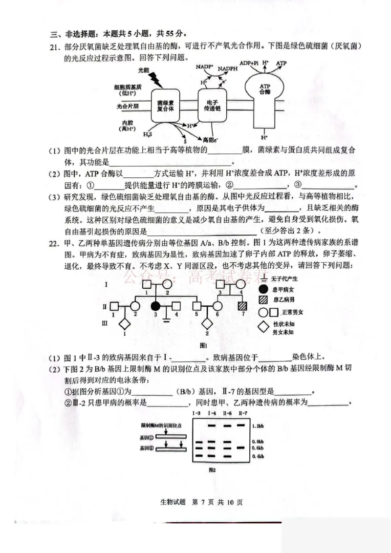 山东省2026届普通高中学业水平4月调研生物试卷（含答案）_副本_2026年山东省通高中学业水平4月调研_05生物_山东省通高中学业水平4月调研