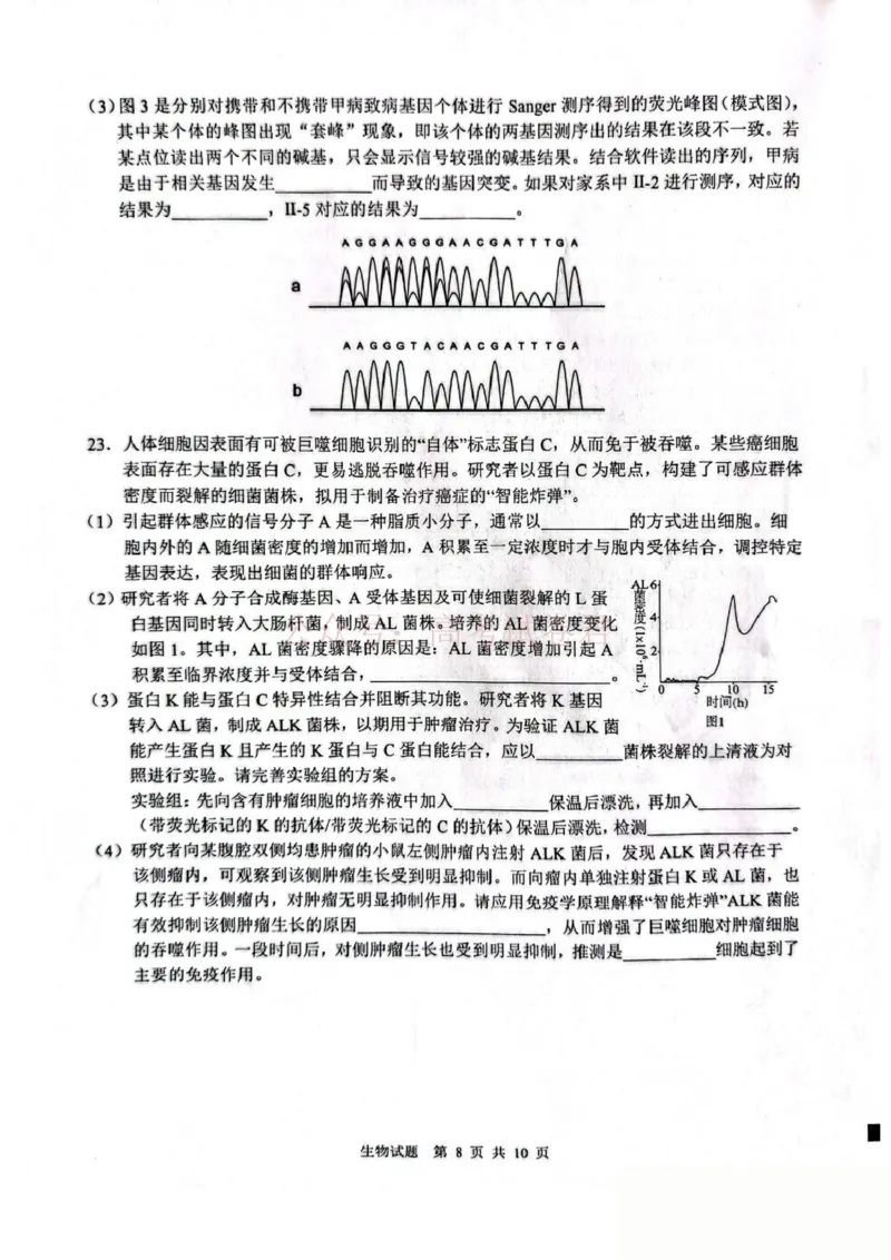 山东省2026届普通高中学业水平4月调研生物试卷（含答案）_副本_2026年山东省通高中学业水平4月调研_05生物_山东省通高中学业水平4月调研