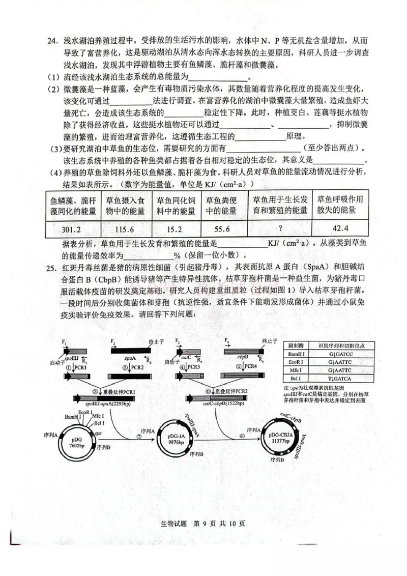山东省2026届普通高中学业水平4月调研生物试卷（含答案）_副本_2026年山东省通高中学业水平4月调研_05生物_山东省通高中学业水平4月调研
