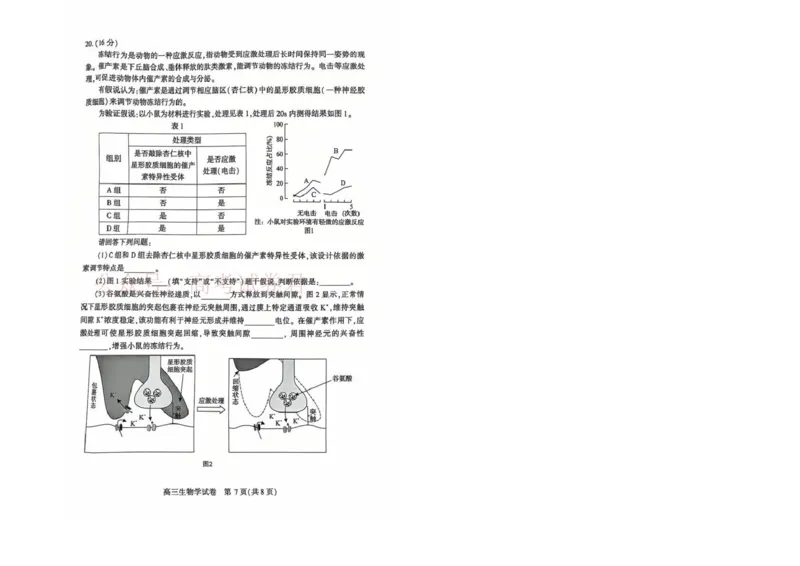 恩施州2026届高三第二次质量监测考试生物_副本_2026届湖北省恩施州高三第二次质量监测_06生物_湖北省恩施州高三第二次质量监测