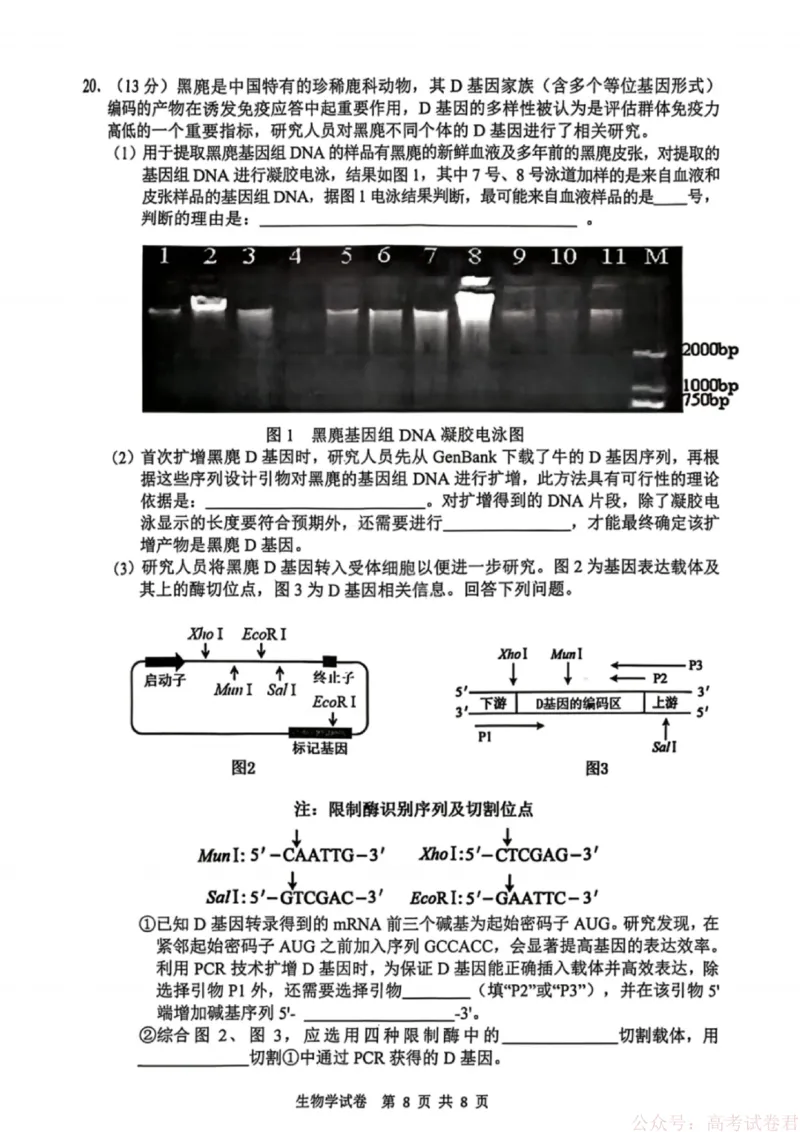 安徽省江南十校2026届高三下学期开学考试生物_2026届安徽省江南十校高三下学期3月开学考试_安徽省江南十校2026届高三下学期开学考试生物试卷（含答案）