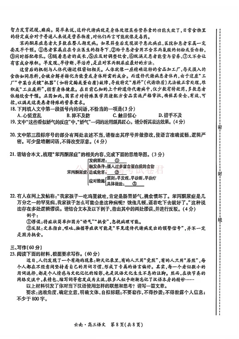 云南民族大学附属高级中学2026年届高三高考适应性训练（五）语文+答案_副本_2026年云南民族大学附中高考适应性训练（五）_01语文_云南民族大学附中高考适应性训练（五）