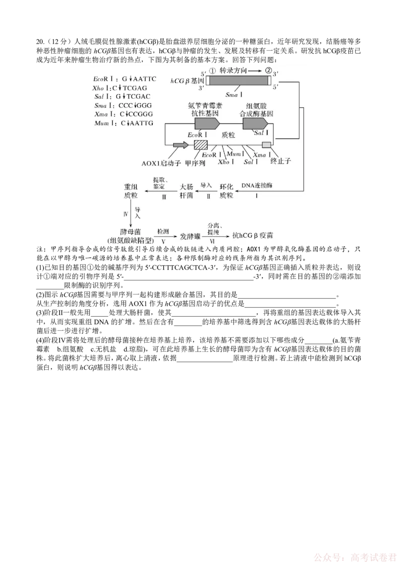 成都市第七中学2025&mdash;2026学年度下期高2026届开学考试生物_2026届四川省成都七中高三下学期开学考试
