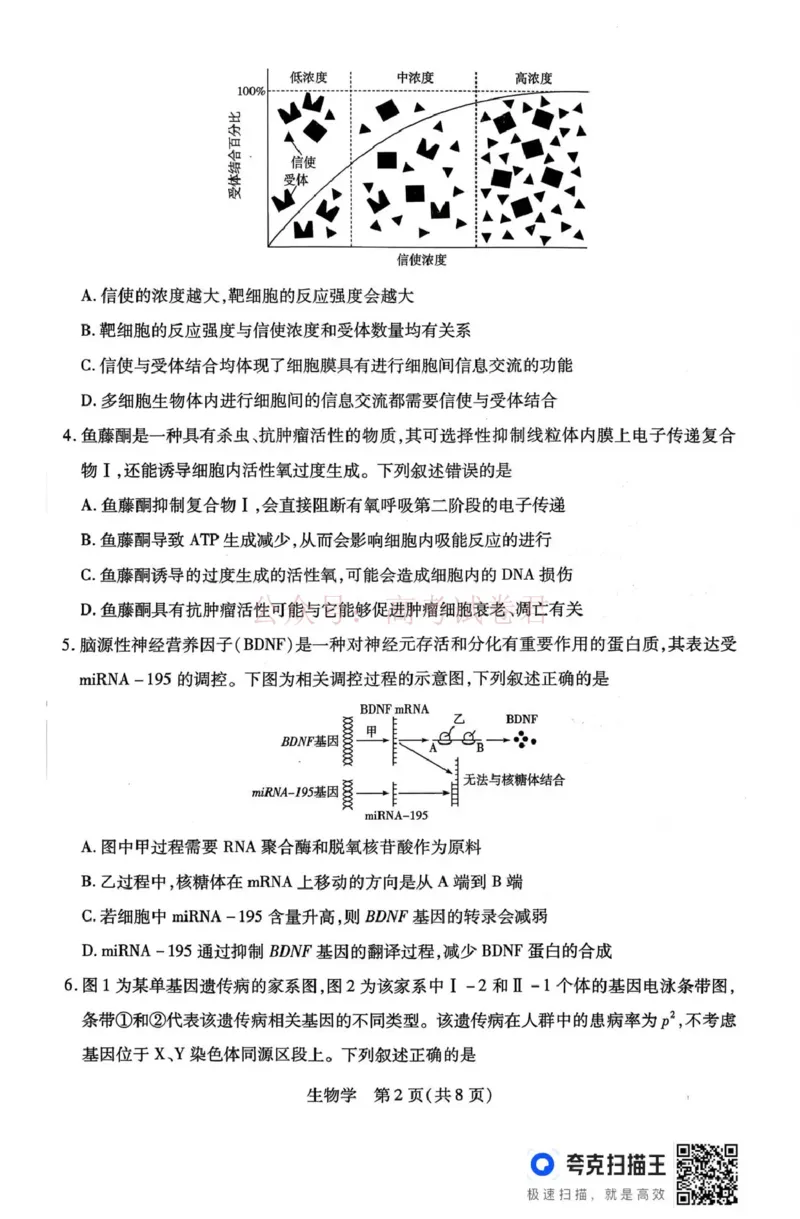 山西省、陕西省多校2026届高三下学期3月联考生物_副本_2026届山西陕西天一大联考高三下学期3月联考全科_06生物_山西陕西天一大联考高三下学期3月联考