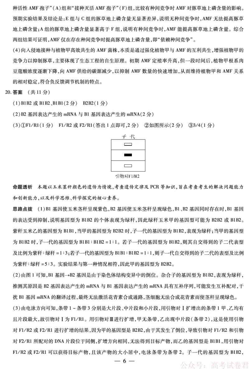 天一大联考河南高三开学考素质评价生物详细答案_2026届河南天一大联考高三开学素质评价_天一大联考河南高三开学考素质评价生物