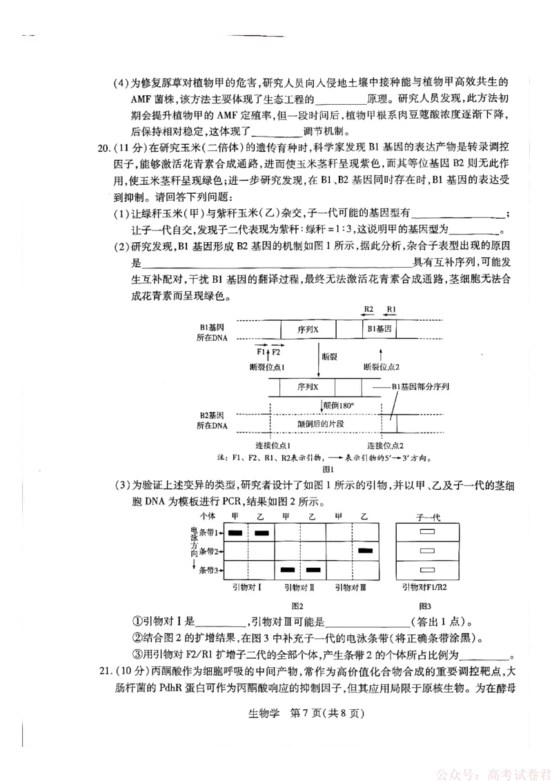 天一大联考河南高三开学考素质评价生物_2026届河南天一大联考高三开学素质评价_天一大联考河南高三开学考素质评价生物