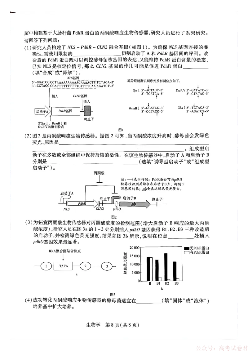 天一大联考河南高三开学考素质评价生物_2026届河南天一大联考高三开学素质评价_天一大联考河南高三开学考素质评价生物