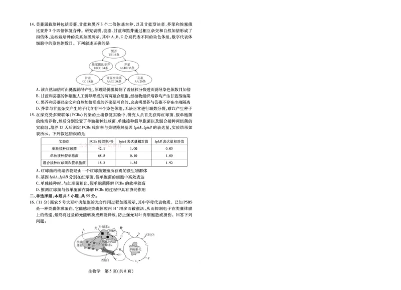 安徽省部分学校2026届高三3月联考生物_2026届安徽省合肥市八中高三下学期3月模拟预测_06生物2026届安徽省合肥市八中高三下学期3月模拟预测