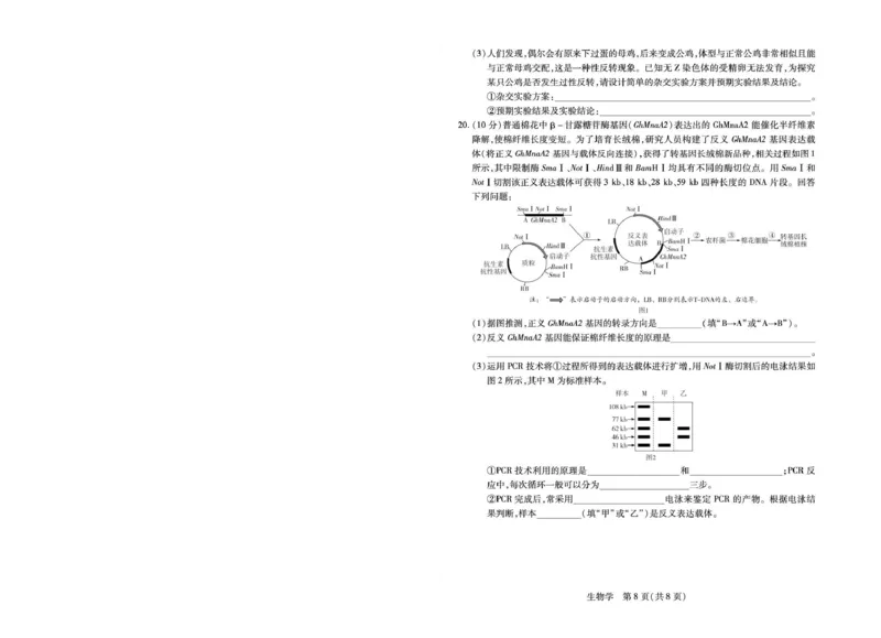 安徽省部分学校2026届高三3月联考生物_2026届安徽省合肥市八中高三下学期3月模拟预测_06生物2026届安徽省合肥市八中高三下学期3月模拟预测