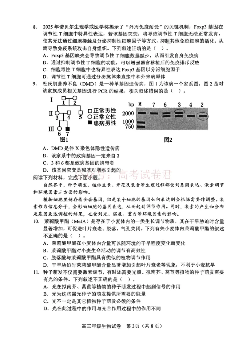 和平区2025-2026学年度高三年级第一次质量检测生物_副本_2026届天津市和平区高三年级一模全科_06生物_天津市和平区高三年级一模