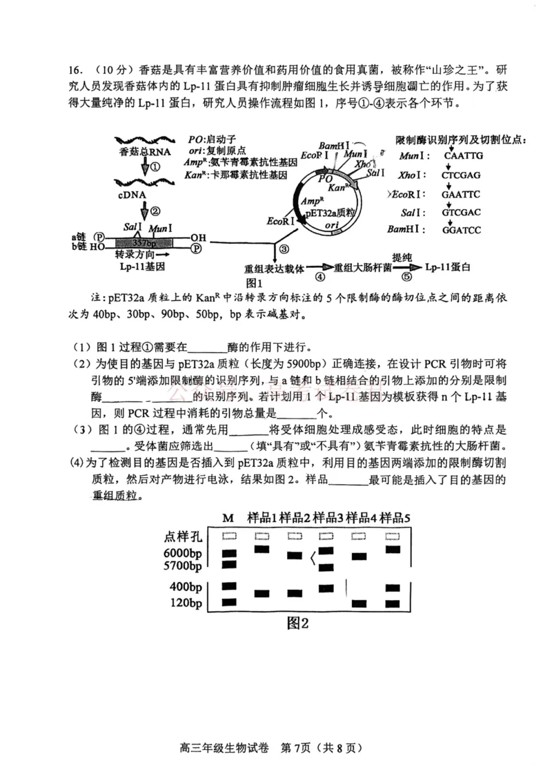 和平区2025-2026学年度高三年级第一次质量检测生物_副本_2026届天津市和平区高三年级一模全科_06生物_天津市和平区高三年级一模