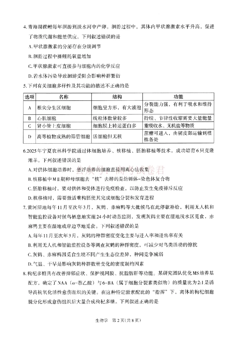 银川市、石嘴山市、吴忠市三市2026年高三年级学科教学质量检测生物_副本_2026届宁夏银川石嘴山吴忠三市高三教学质量检测_06生物_宁夏银川石嘴山吴忠三市高三教学质量检测