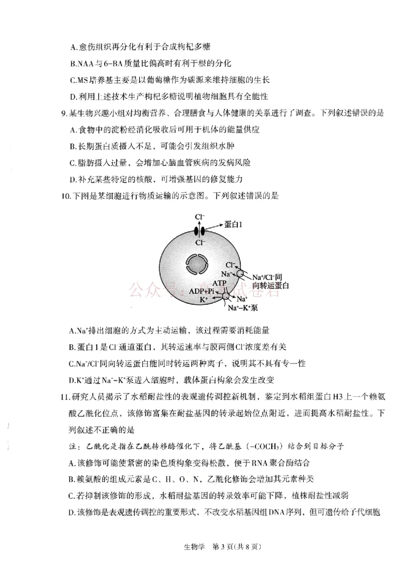 银川市、石嘴山市、吴忠市三市2026年高三年级学科教学质量检测生物_副本_2026届宁夏银川石嘴山吴忠三市高三教学质量检测_06生物_宁夏银川石嘴山吴忠三市高三教学质量检测