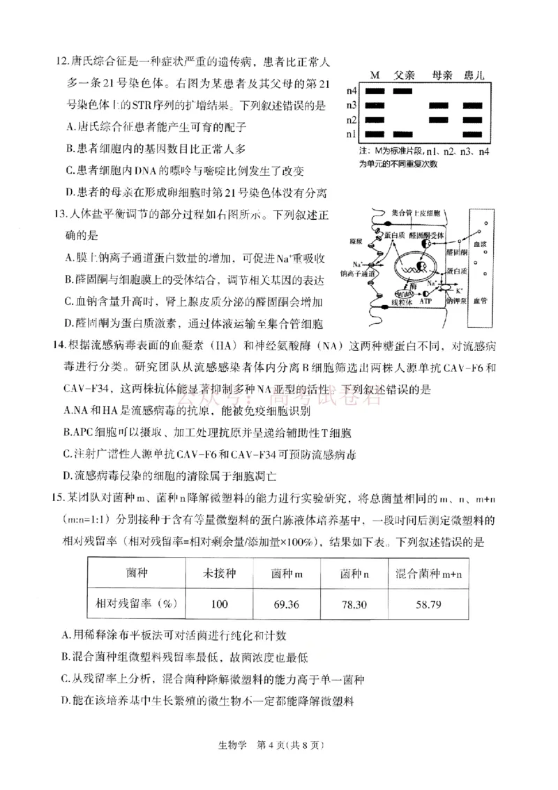 银川市、石嘴山市、吴忠市三市2026年高三年级学科教学质量检测生物_副本_2026届宁夏银川石嘴山吴忠三市高三教学质量检测_06生物_宁夏银川石嘴山吴忠三市高三教学质量检测