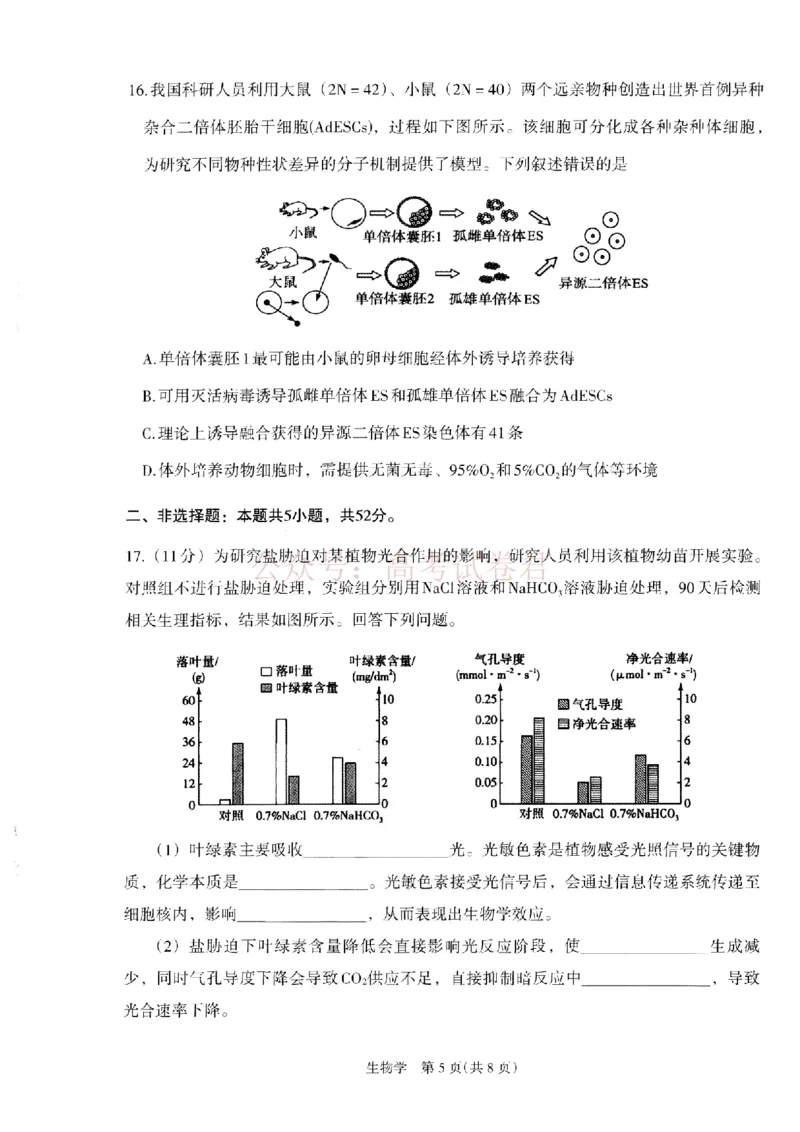 银川市、石嘴山市、吴忠市三市2026年高三年级学科教学质量检测生物_副本_2026届宁夏银川石嘴山吴忠三市高三教学质量检测_06生物_宁夏银川石嘴山吴忠三市高三教学质量检测