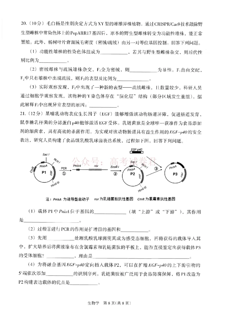 银川市、石嘴山市、吴忠市三市2026年高三年级学科教学质量检测生物_副本_2026届宁夏银川石嘴山吴忠三市高三教学质量检测_06生物_宁夏银川石嘴山吴忠三市高三教学质量检测