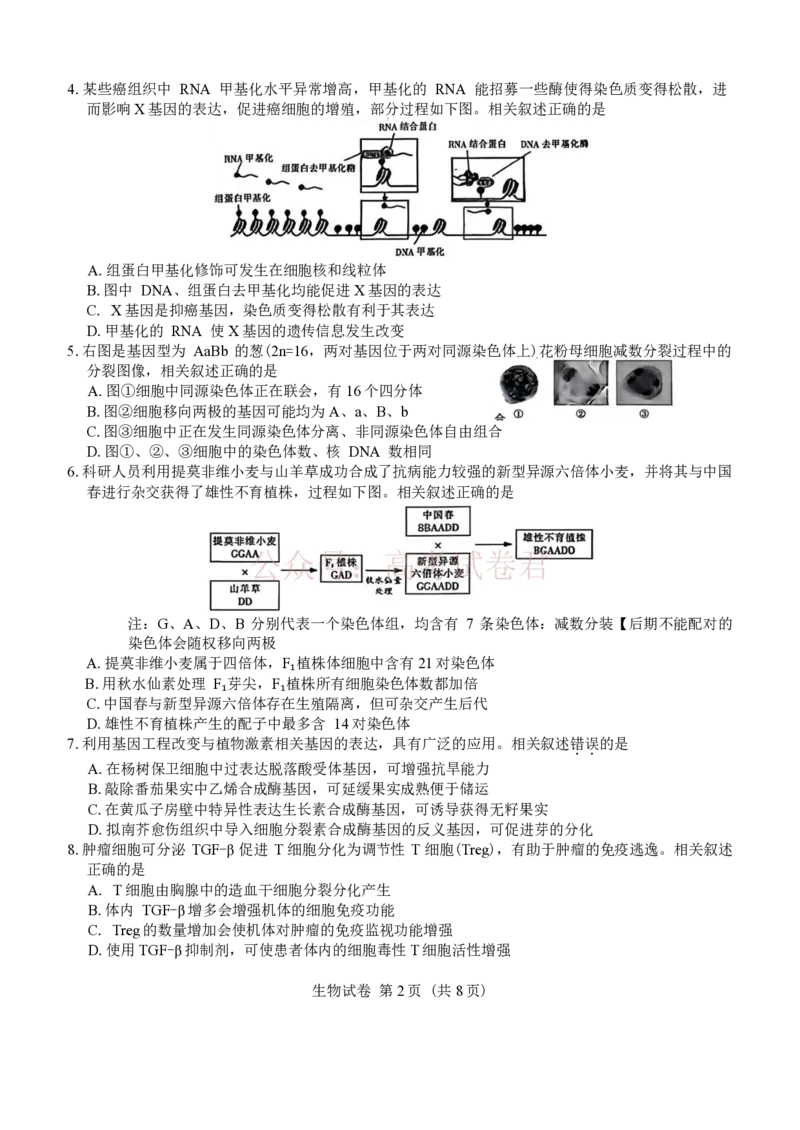 江苏省南通等七市2026届高三第二次调研测试生物（含答案）_副本_2026届江苏省苏北七市高三第二次调研测试_06生物_江苏省苏北七市高三第二次调研测试