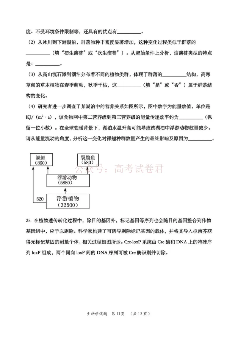 日照市第一中学2025-2026学年高三下学期3月份单元质量检测生物_副本_2026届山东省日照市一中高三3月份单元质量检测全科_06生物_山东省日照市一中高三3月份单元质量检测