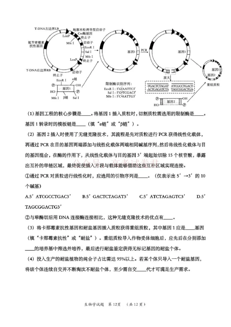 日照市第一中学2025-2026学年高三下学期3月份单元质量检测生物_副本_2026届山东省日照市一中高三3月份单元质量检测全科_06生物_山东省日照市一中高三3月份单元质量检测