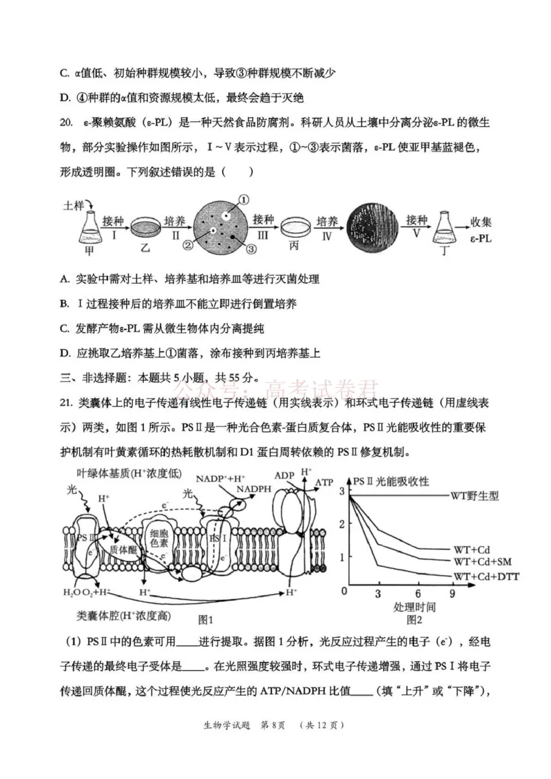 日照市第一中学2025-2026学年高三下学期3月份单元质量检测生物_副本_2026届山东省日照市一中高三3月份单元质量检测全科_06生物_山东省日照市一中高三3月份单元质量检测