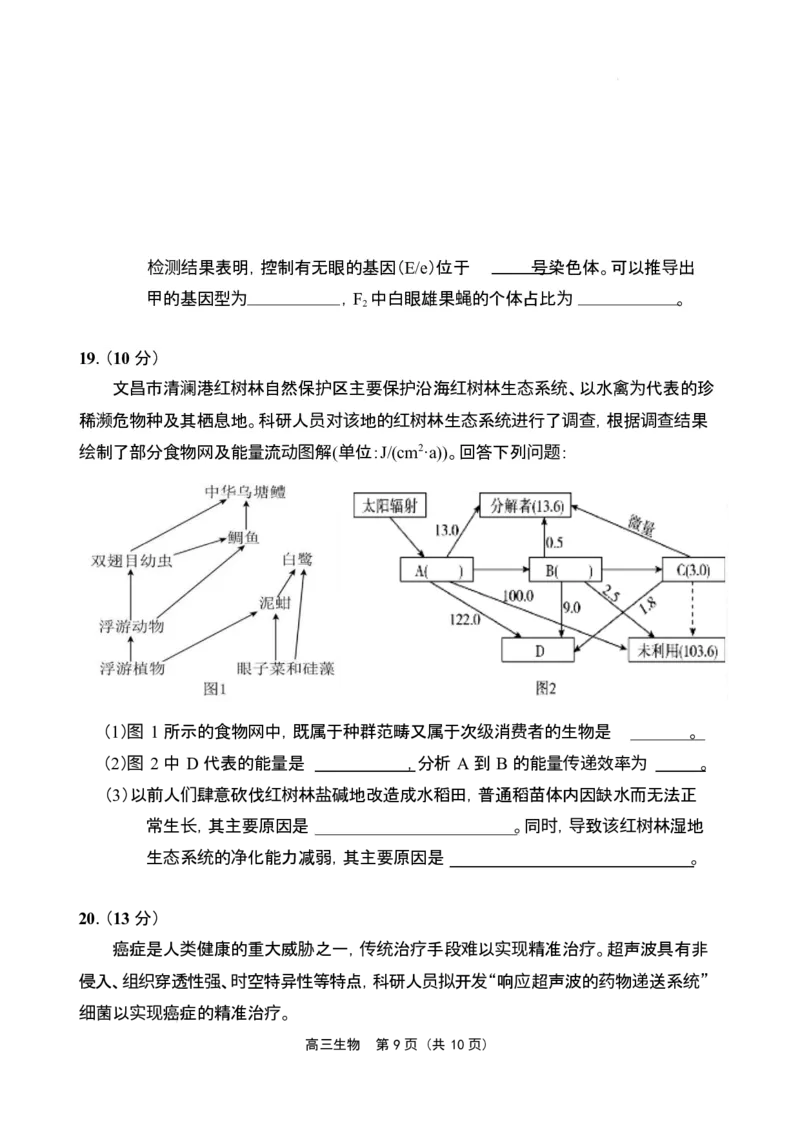 海南省海南中学海口一中文昌中学嘉积中学2026届高三下学期联考生物试题_2026届海南省四校高三下学期3月联考_06生物_海南省四校高三下学期3月联考