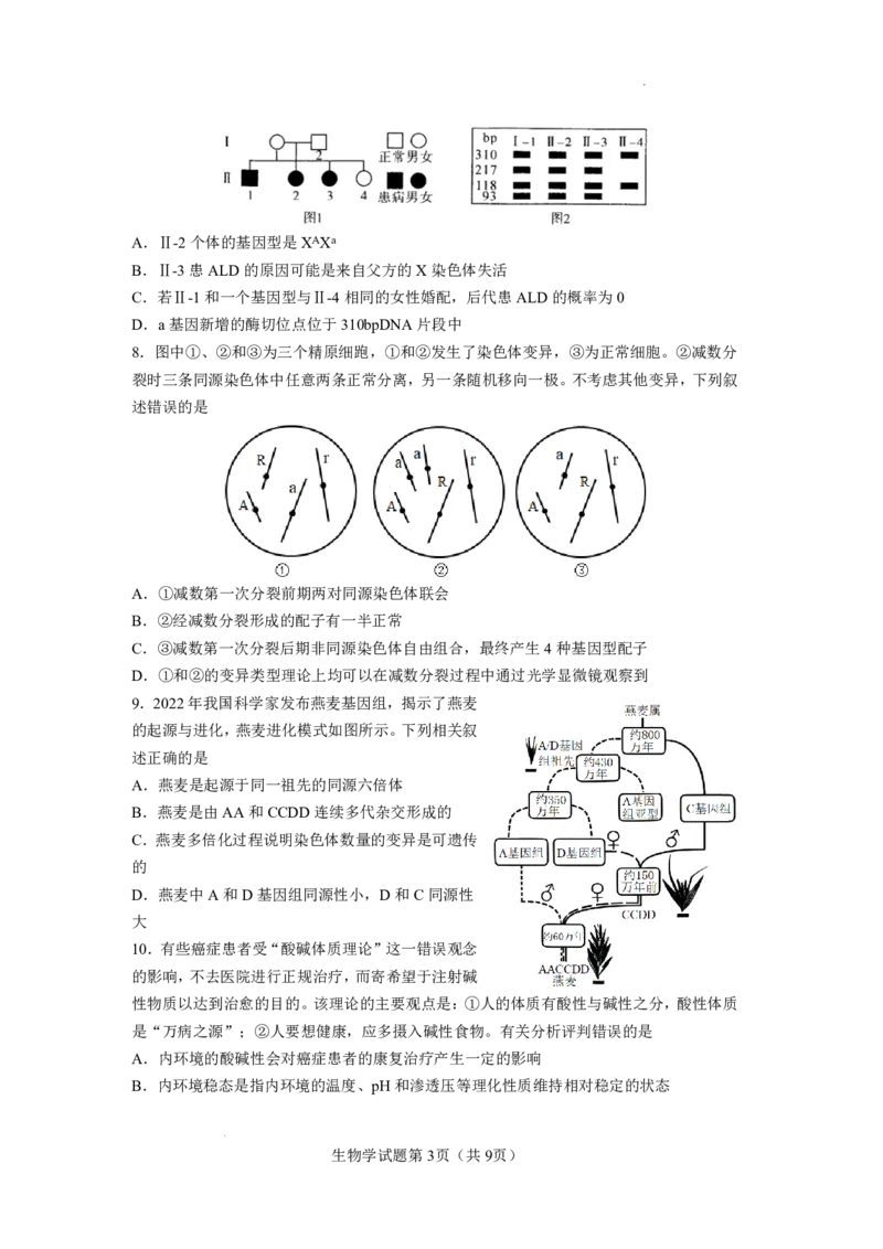 玉溪一中2025一2026学年下学期高三适应性测试（一）生物_副本_2026届云南省玉溪市第一中学2025&mdash;2026学年下学期高三适应性测试（一）