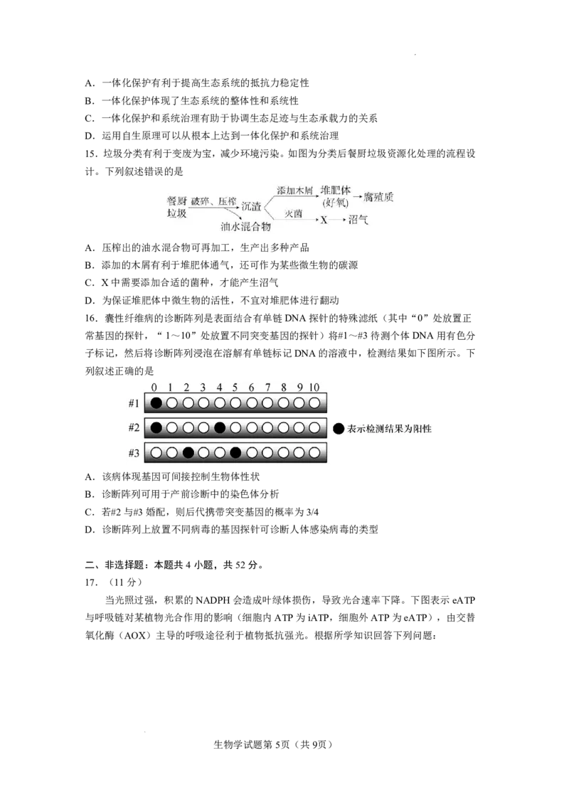 玉溪一中2025一2026学年下学期高三适应性测试（一）生物_副本_2026届云南省玉溪市第一中学2025&mdash;2026学年下学期高三适应性测试（一）