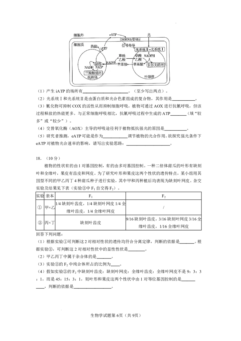 玉溪一中2025一2026学年下学期高三适应性测试（一）生物_副本_2026届云南省玉溪市第一中学2025&mdash;2026学年下学期高三适应性测试（一）