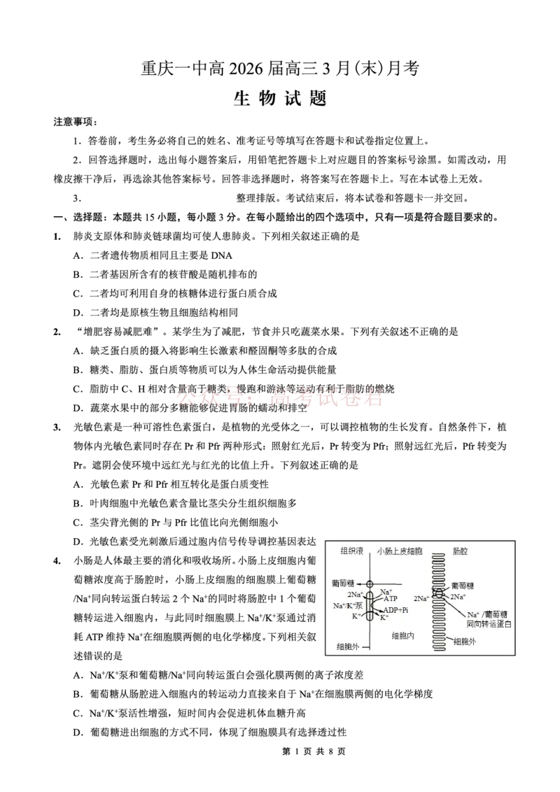 重庆一中高2026届高三3月（末）月考生物_副本_2026届重庆一中高三3月（末）月考_06生物_重庆一中高三3月（末）月考