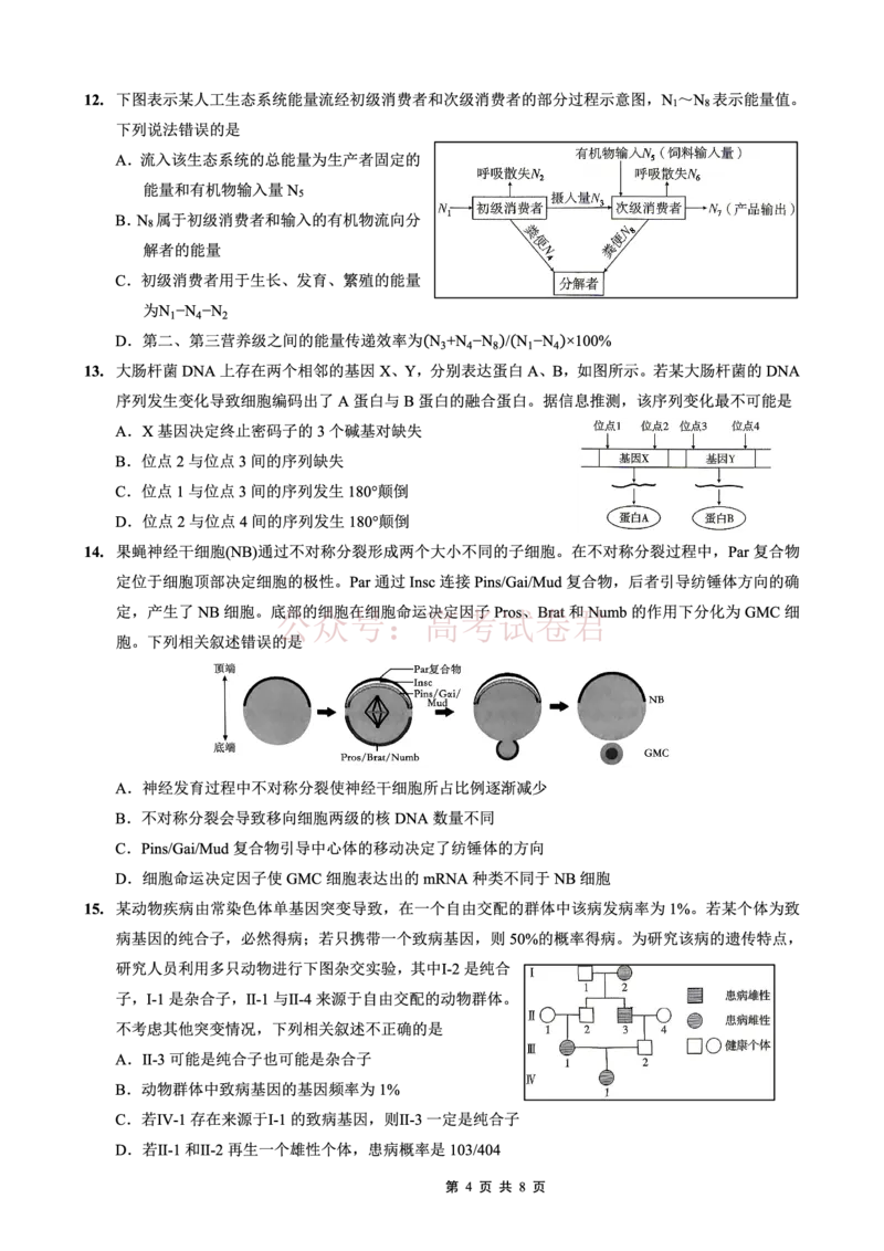 重庆一中高2026届高三3月（末）月考生物_副本_2026届重庆一中高三3月（末）月考_06生物_重庆一中高三3月（末）月考