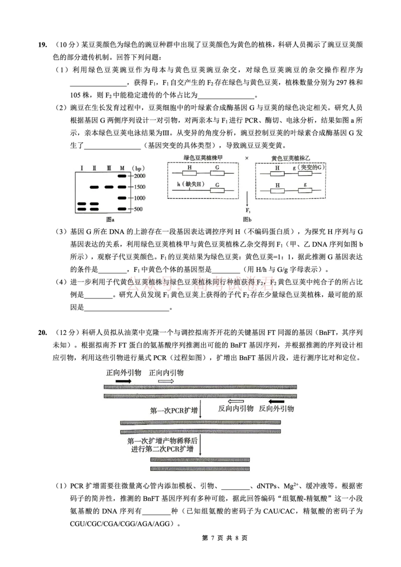 重庆一中高2026届高三3月（末）月考生物_副本_2026届重庆一中高三3月（末）月考_06生物_重庆一中高三3月（末）月考