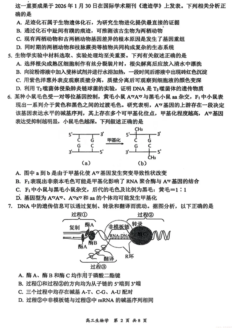 生物试卷-大同市2026届高三年级第一次模拟考试质量监测试卷_2026届山西大同高三第一次模拟考试质量监测_山西省大同市2026届高三年级第一次模拟考试质量监测生物试卷（含答案）