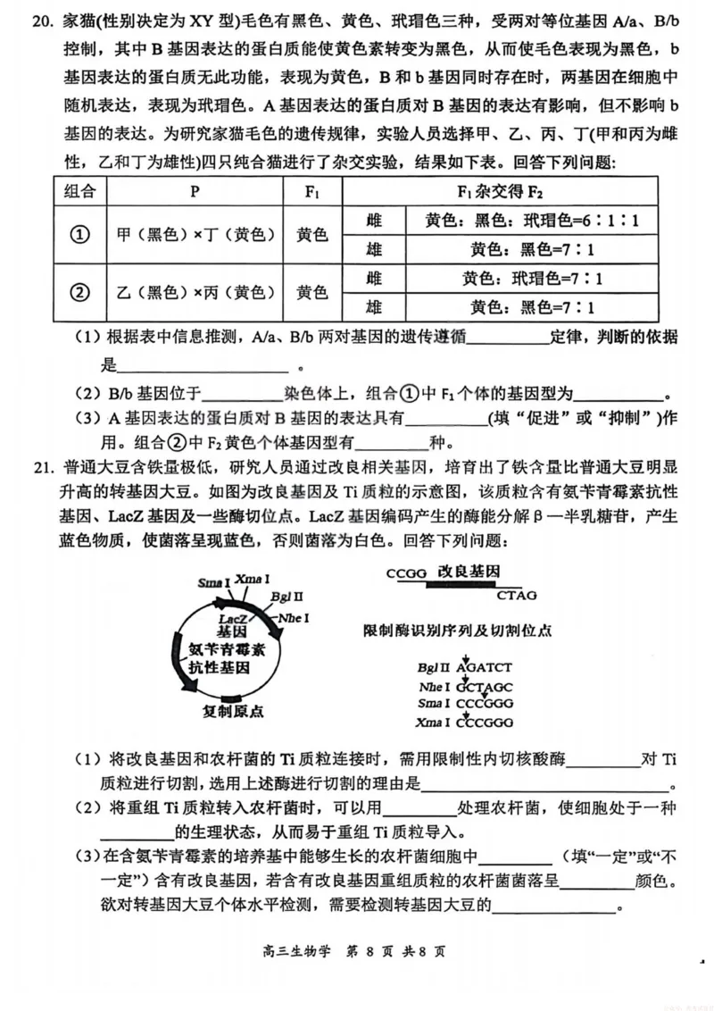 生物试卷-大同市2026届高三年级第一次模拟考试质量监测试卷_2026届山西大同高三第一次模拟考试质量监测_山西省大同市2026届高三年级第一次模拟考试质量监测生物试卷（含答案）