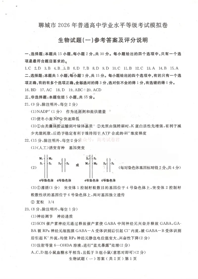 聊城市2026年普通高中学业水平等级考试模拟卷生物答案_2026届山东省聊城市高三3月模拟考试（聊城一模）_生物&middot;2026届山东省聊城市高三3月模拟考试（聊城一模）