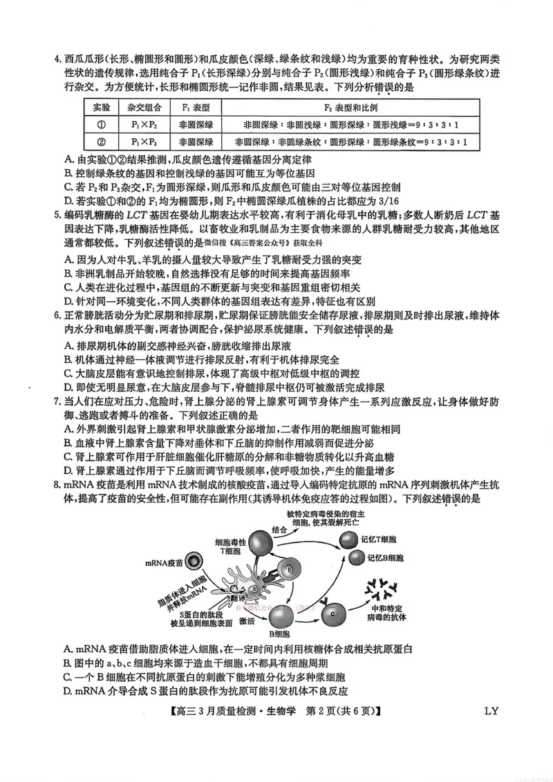 生物试题卷+答案_2026届九师联盟高三下学期2月质量检测(2.27-2.28)全科试卷+答案