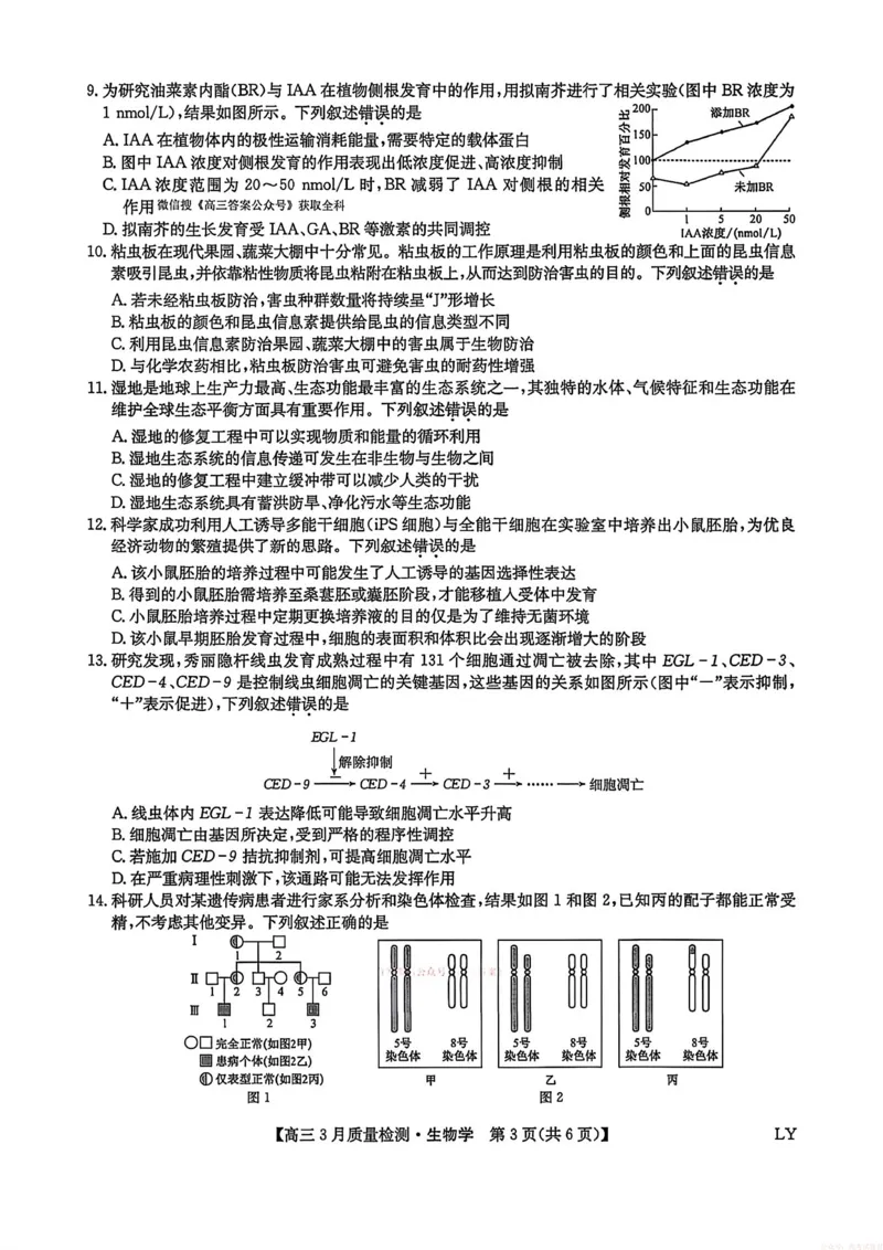 生物试题卷+答案_2026届九师联盟高三下学期2月质量检测(2.27-2.28)全科试卷+答案