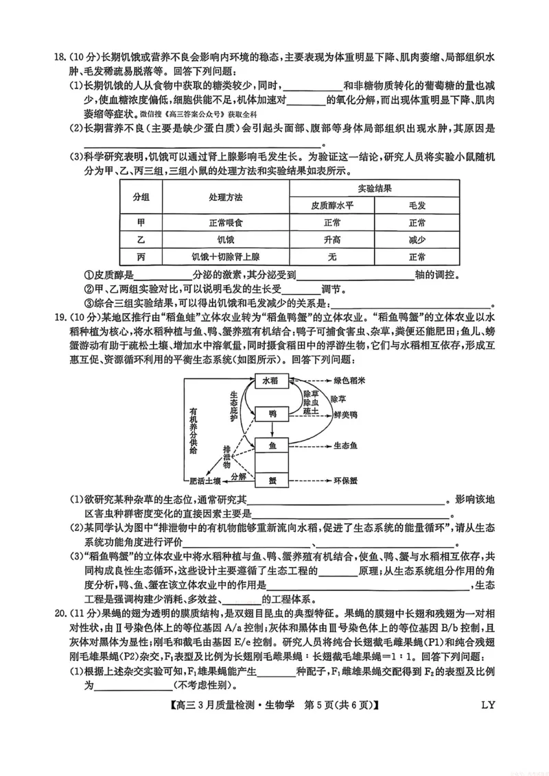 生物试题卷+答案_2026届九师联盟高三下学期2月质量检测(2.27-2.28)全科试卷+答案