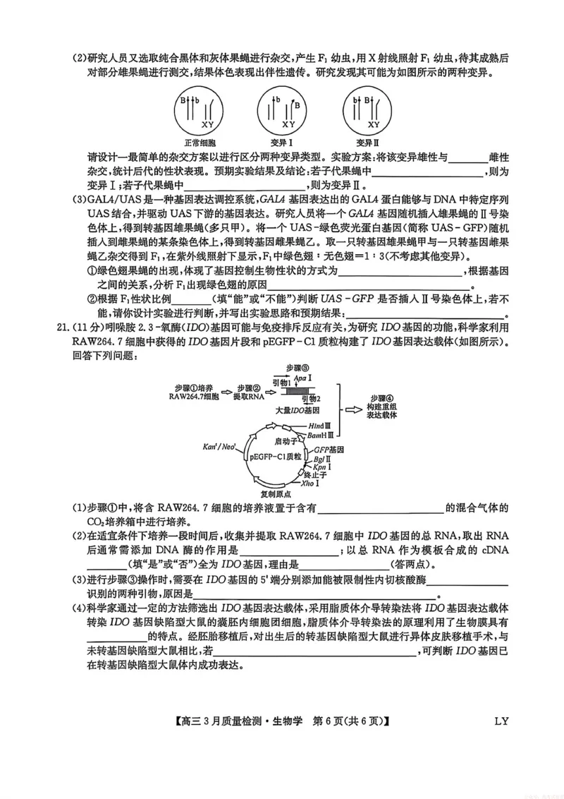 生物试题卷+答案_2026届九师联盟高三下学期2月质量检测(2.27-2.28)全科试卷+答案