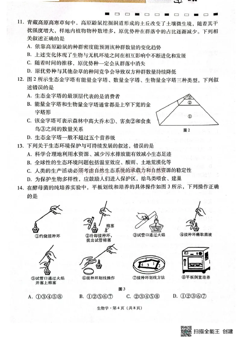西南名校联盟2026届&ldquo;3+3+3&rdquo;高考备考诊断性联考（二）生物_副本_2026年西南名校联盟&ldquo;3+3+3&rdquo;高考备考诊断性联考（二）全科