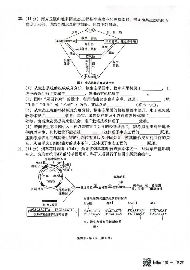 西南名校联盟2026届&ldquo;3+3+3&rdquo;高考备考诊断性联考（二）生物_副本_2026年西南名校联盟&ldquo;3+3+3&rdquo;高考备考诊断性联考（二）全科