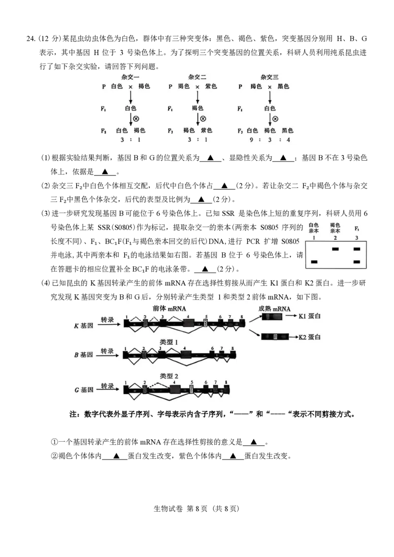 江苏省南通等七市2026届高三第二次调研测试生物（含答案）_副本(1)_2026届江苏省苏北七市高三第二次调研测试全科_06生物_江苏省苏北七市高三第二次调研测试