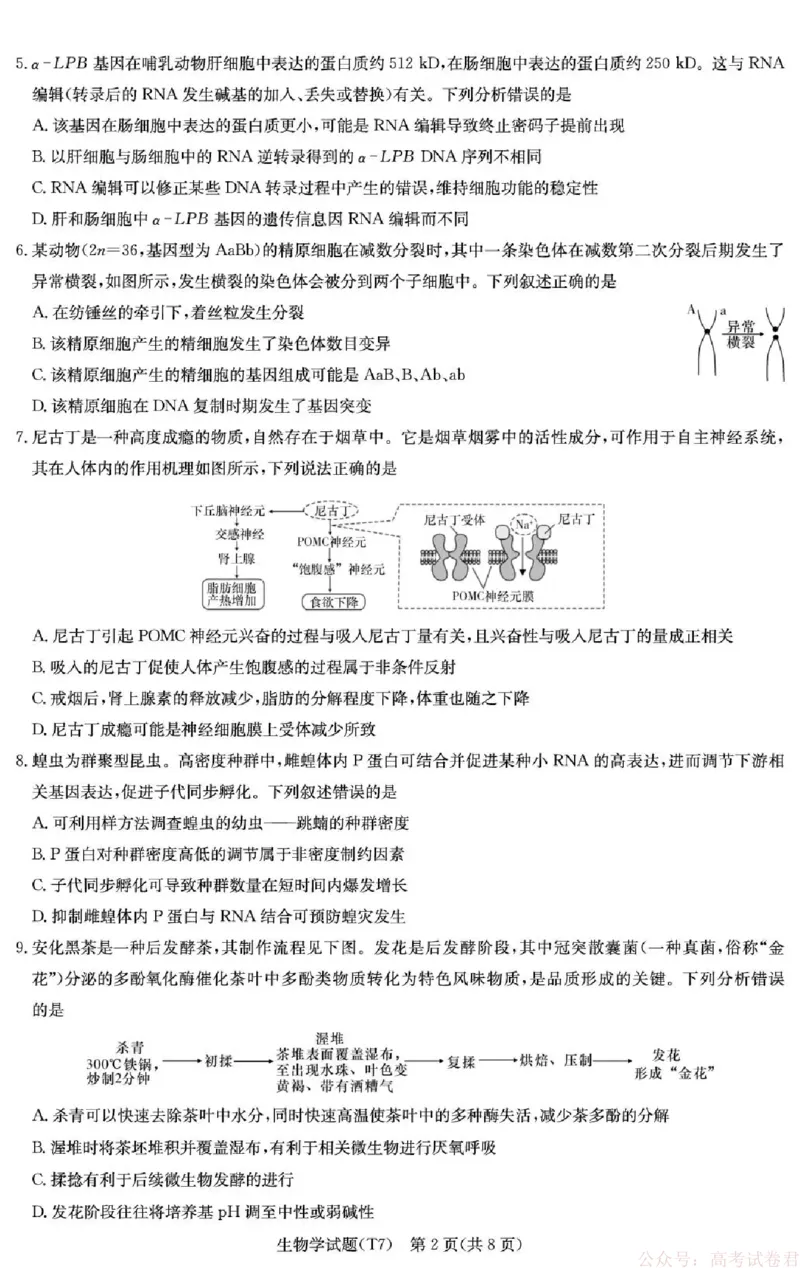 湖南师大附中2026届高三月考试卷（七）生物_2026届湖南师大附中高三2月月考试卷（七）_湖南师大附中2026届高三2月月考试卷（七）生物