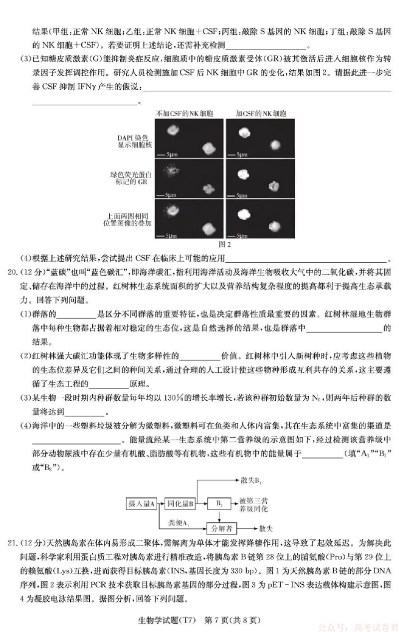 湖南师大附中2026届高三月考试卷（七）生物_2026届湖南师大附中高三2月月考试卷（七）_湖南师大附中2026届高三2月月考试卷（七）生物